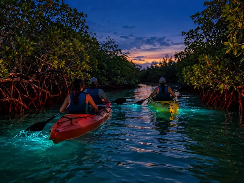 Fajardo Bio-Bucht Kajaktour